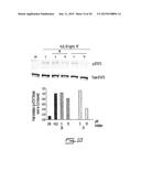 SALICYCLIC ACID DERIVATIVES, PHARMACEUTICALLY ACCEPTABLE SALT THEREOF,     COMPOSITION THEREOF AND METHOD OF USE THEREOF diagram and image