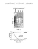 TRANSGENIC PLANTS EXPRESSING COBALAMIN BINDING PROTEINS diagram and image