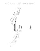 Derivatisation of Erythropoietin (EPO) diagram and image