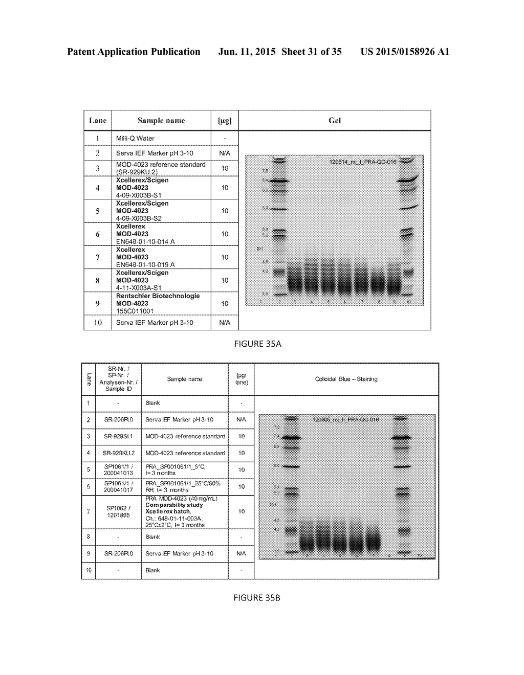 LONG-ACTING POLYPEPTIDES AND METHODS OF PRODUCING AND ADMINISTERING SAME - diagram, schematic, and image 32