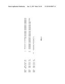 TREATMENT AND PROPHYLAXIS OF AMYLOIDOSIS diagram and image