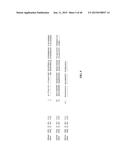 TREATMENT AND PROPHYLAXIS OF AMYLOIDOSIS diagram and image