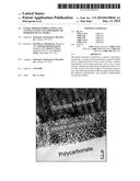 STABLE PRIMER FORMULATIONS AND COATINGS WITH NANO DISPERSION OF MODIFIED     METAL OXIDES diagram and image