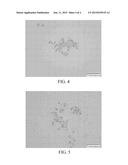 METHOD OF DAMAGING CELL STRUCTURE OF AQUATIC SUBSTANCE diagram and image