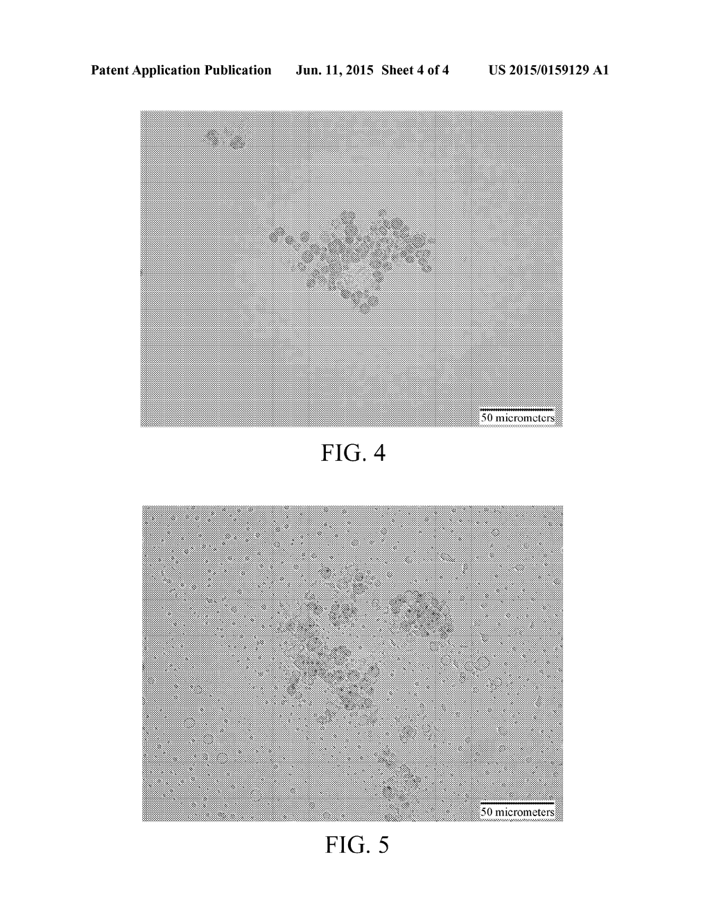 METHOD OF DAMAGING CELL STRUCTURE OF AQUATIC SUBSTANCE - diagram, schematic, and image 05