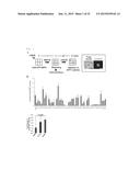 NOVEL LOW-MOLECULAR-COMPOUND FOR IMPROVING PRODUCTION, MAINTENANCE AND     PROLIFERATION OF PLURIPOTENT STEM CELLS, COMPOSITION COMPRISING THE SAME,     AND CULTURE METHOD diagram and image