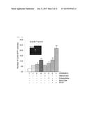 NOVEL LOW-MOLECULAR-COMPOUND FOR IMPROVING PRODUCTION, MAINTENANCE AND     PROLIFERATION OF PLURIPOTENT STEM CELLS, COMPOSITION COMPRISING THE SAME,     AND CULTURE METHOD diagram and image