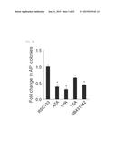 NOVEL LOW-MOLECULAR-COMPOUND FOR IMPROVING PRODUCTION, MAINTENANCE AND     PROLIFERATION OF PLURIPOTENT STEM CELLS, COMPOSITION COMPRISING THE SAME,     AND CULTURE METHOD diagram and image