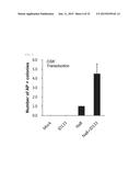 NOVEL LOW-MOLECULAR-COMPOUND FOR IMPROVING PRODUCTION, MAINTENANCE AND     PROLIFERATION OF PLURIPOTENT STEM CELLS, COMPOSITION COMPRISING THE SAME,     AND CULTURE METHOD diagram and image