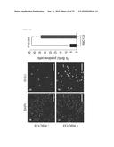 NOVEL LOW-MOLECULAR-COMPOUND FOR IMPROVING PRODUCTION, MAINTENANCE AND     PROLIFERATION OF PLURIPOTENT STEM CELLS, COMPOSITION COMPRISING THE SAME,     AND CULTURE METHOD diagram and image