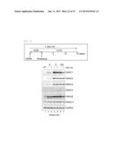 NOVEL LOW-MOLECULAR-COMPOUND FOR IMPROVING PRODUCTION, MAINTENANCE AND     PROLIFERATION OF PLURIPOTENT STEM CELLS, COMPOSITION COMPRISING THE SAME,     AND CULTURE METHOD diagram and image