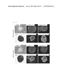 NOVEL LOW-MOLECULAR-COMPOUND FOR IMPROVING PRODUCTION, MAINTENANCE AND     PROLIFERATION OF PLURIPOTENT STEM CELLS, COMPOSITION COMPRISING THE SAME,     AND CULTURE METHOD diagram and image