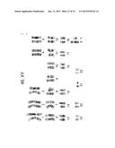 NOVEL LOW-MOLECULAR-COMPOUND FOR IMPROVING PRODUCTION, MAINTENANCE AND     PROLIFERATION OF PLURIPOTENT STEM CELLS, COMPOSITION COMPRISING THE SAME,     AND CULTURE METHOD diagram and image