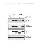 NOVEL LOW-MOLECULAR-COMPOUND FOR IMPROVING PRODUCTION, MAINTENANCE AND     PROLIFERATION OF PLURIPOTENT STEM CELLS, COMPOSITION COMPRISING THE SAME,     AND CULTURE METHOD diagram and image