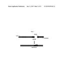 MUTANT NEQ HS DNA POLYMERASE DERIVED FROM NANOARCHAEUM EQUITANS AND ITS     APPLICATION TO HOT-START PCR diagram and image