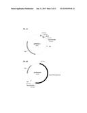 MUTANT NEQ HS DNA POLYMERASE DERIVED FROM NANOARCHAEUM EQUITANS AND ITS     APPLICATION TO HOT-START PCR diagram and image