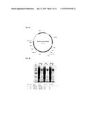 MUTANT NEQ HS DNA POLYMERASE DERIVED FROM NANOARCHAEUM EQUITANS AND ITS     APPLICATION TO HOT-START PCR diagram and image