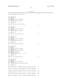 MUTANT NEQ HS DNA POLYMERASE DERIVED FROM NANOARCHAEUM EQUITANS AND ITS     APPLICATION TO HOT-START PCR diagram and image