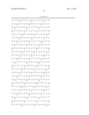 MUTANT NEQ HS DNA POLYMERASE DERIVED FROM NANOARCHAEUM EQUITANS AND ITS     APPLICATION TO HOT-START PCR diagram and image