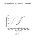 PEGYLATED ASPARTYL-TRNA SYNTHETASE POLYPEPTIDES diagram and image