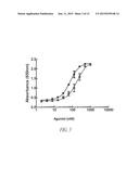 PEGYLATED ASPARTYL-TRNA SYNTHETASE POLYPEPTIDES diagram and image