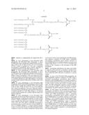 PEGYLATED ASPARTYL-TRNA SYNTHETASE POLYPEPTIDES diagram and image