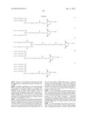 PEGYLATED ASPARTYL-TRNA SYNTHETASE POLYPEPTIDES diagram and image