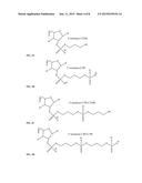 OLIGONUCLEOTIDE COMPOUNDS COMPRISING NON-NUCLEOTIDE OVERHANGS diagram and image