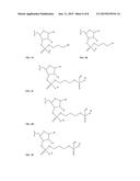 OLIGONUCLEOTIDE COMPOUNDS COMPRISING NON-NUCLEOTIDE OVERHANGS diagram and image