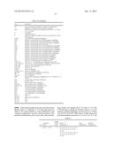 OLIGONUCLEOTIDE COMPOUNDS COMPRISING NON-NUCLEOTIDE OVERHANGS diagram and image