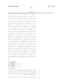 BRASSICA PLANTS WITH MODIFIED SEED OIL COMPOSITION diagram and image