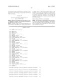 BRASSICA PLANTS WITH MODIFIED SEED OIL COMPOSITION diagram and image