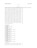 BRASSICA PLANTS WITH MODIFIED SEED OIL COMPOSITION diagram and image