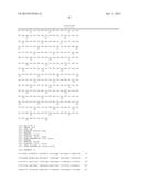 BRASSICA PLANTS WITH MODIFIED SEED OIL COMPOSITION diagram and image