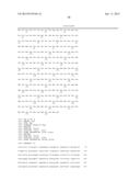 BRASSICA PLANTS WITH MODIFIED SEED OIL COMPOSITION diagram and image