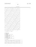 BRASSICA PLANTS WITH MODIFIED SEED OIL COMPOSITION diagram and image