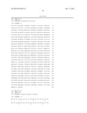 YEAST CELL WITH INACTIVATED OR DEPRESSED PYRUVATE CARBOXYLASE AND METHOD     OF PRODUCING LACTATE USING THE YEAST CELL diagram and image