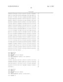 YEAST CELL WITH INACTIVATED OR DEPRESSED PYRUVATE CARBOXYLASE AND METHOD     OF PRODUCING LACTATE USING THE YEAST CELL diagram and image