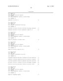 YEAST CELL WITH INACTIVATED OR DEPRESSED PYRUVATE CARBOXYLASE AND METHOD     OF PRODUCING LACTATE USING THE YEAST CELL diagram and image