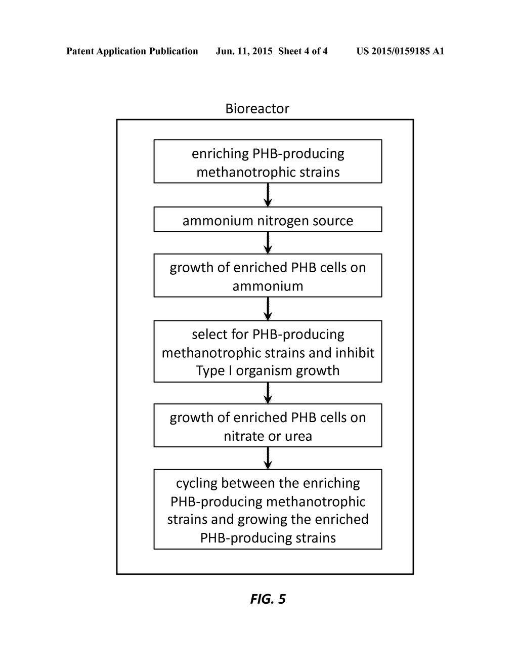 Intermittent application of reduced nitrogen sources for selection of PHB     producing methanotrophs - diagram, schematic, and image 05