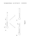 COMPOSITIONS AND METHODS FOR NUCLEIC ACID SEQUENCING diagram and image