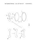 COMPOSITIONS AND METHODS FOR NUCLEIC ACID SEQUENCING diagram and image