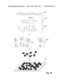 Single Molecule Arrays for Genetic and Chemical Analysis diagram and image