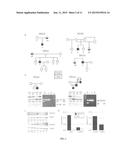 METHODS AND COMPOSITIONS RELATED TO THE SMCHD1 GENE diagram and image