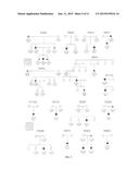 METHODS AND COMPOSITIONS RELATED TO THE SMCHD1 GENE diagram and image