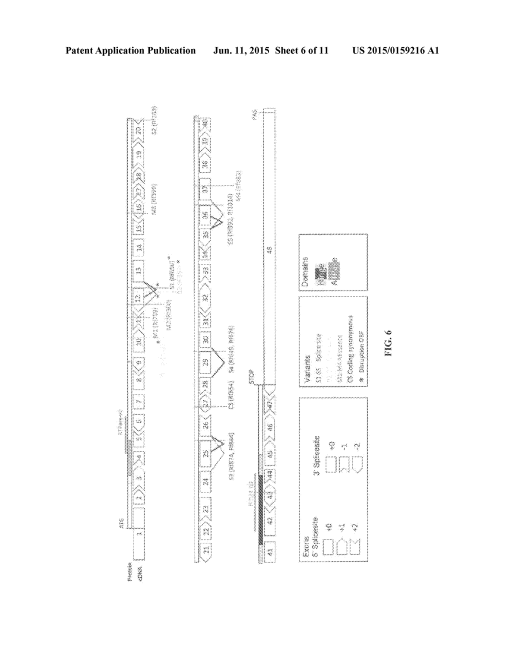 METHODS AND COMPOSITIONS RELATED TO THE SMCHD1 GENE - diagram, schematic, and image 07