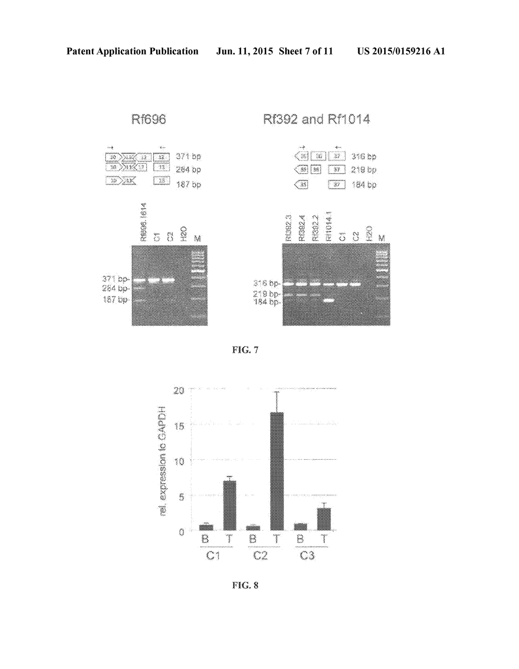 METHODS AND COMPOSITIONS RELATED TO THE SMCHD1 GENE - diagram, schematic, and image 08