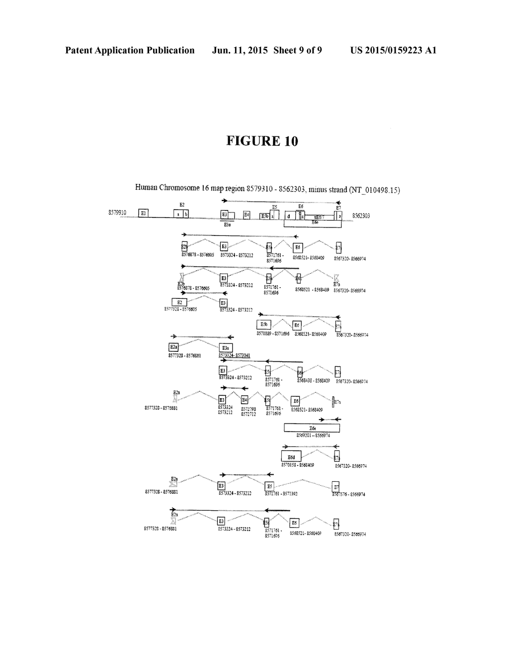 METHOD OF DIAGNOSING NEOPLASMS - diagram, schematic, and image 10