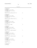 MOLECULAR MARKERS ASSOCIATED WITH CULTURE AND TRANSFORMATION IN MAIZE diagram and image