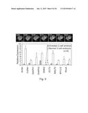 IMAGING AND EVALUATING EMBRYOS, OOCYTES, AND STEM CELLS diagram and image